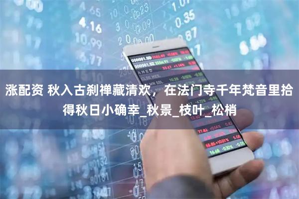 涨配资 秋入古刹禅藏清欢，在法门寺千年梵音里拾得秋日小确幸_秋景_枝叶_松梢