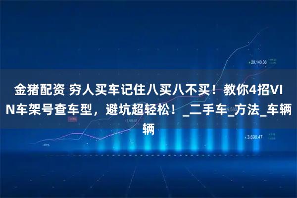 金猪配资 穷人买车记住八买八不买！教你4招VIN车架号查车型，避坑超轻松！_二手车_方法_车辆