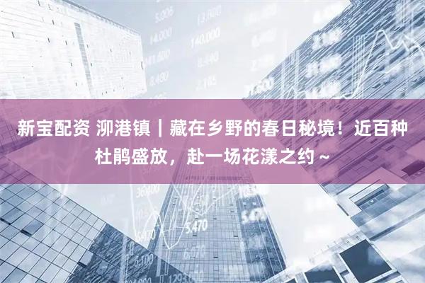 新宝配资 泖港镇｜藏在乡野的春日秘境！近百种杜鹃盛放，赴一场花漾之约～